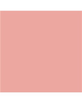 ESMALTE AL AGUA AQUALAC SATINADO (OFERTA) COLOR S 1030-Y90R