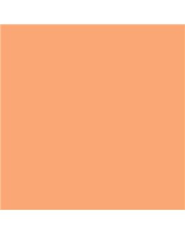 ESMALTE AL AGUA AQUALAC SATINADO (OFERTA) COLOR S 1040-Y50R