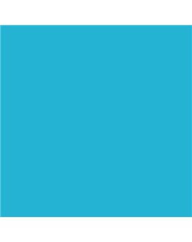 ESMALTE AL AGUA AQUALAC SATINADO (OFERTA) COLOR S 1050-B10G