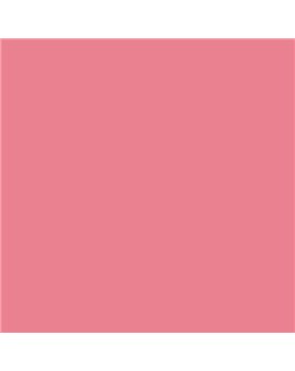 ESMALTE AL AGUA AQUALAC SATINADO (OFERTA) COLOR S 1050-R10B