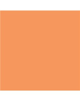 ESMALTE AL AGUA AQUALAC SATINADO (OFERTA) COLOR S 1050-Y50R