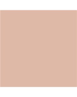 ESMALTE AL AGUA AQUALAC SATINADO (OFERTA) COLOR S 1515-Y70R