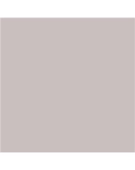 ESMALTE AL AGUA AQUALAC SATINADO (OFERTA) COLOR S 2005-R10B
