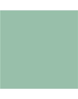 ESMALTE AL AGUA AQUALAC SATINADO (OFERTA) COLOR S 2020-G