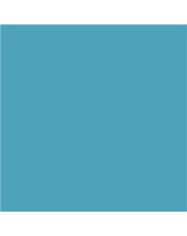 ESMALTE AL AGUA AQUALAC SATINADO (OFERTA) COLOR S 2040-B10G