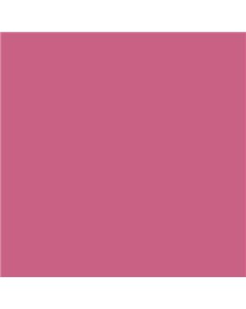 ESMALTE AL AGUA AQUALAC SATINADO (OFERTA) COLOR S 2050-R20B