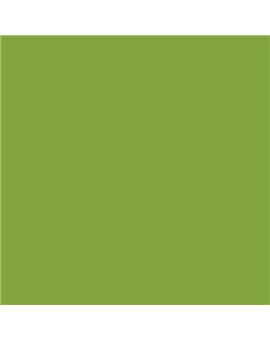 ESMALTE AL AGUA AQUALAC SATINADO (OFERTA) COLOR S 2060-G40Y