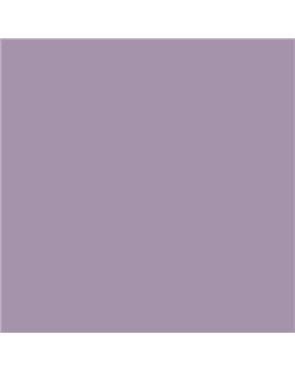 ESMALTE AL AGUA AQUALAC SATINADO (OFERTA) COLOR S 3020-R50B