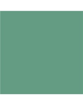 ESMALTE AL AGUA AQUALAC SATINADO (OFERTA) COLOR S 3030-G
