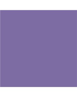 ESMALTE AL AGUA AQUALAC SATINADO (OFERTA) COLOR S 3040-R60B