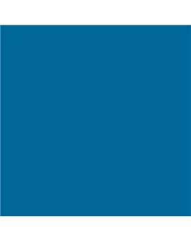 ESMALTE AL AGUA AQUALAC SATINADO (OFERTA) COLOR S 3060-B
