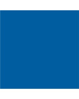 ESMALTE AL AGUA AQUALAC SATINADO (OFERTA) COLOR S 3060-R90B