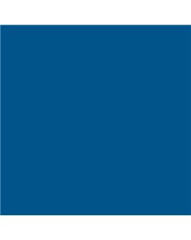 ESMALTE AL AGUA AQUALAC SATINADO (OFERTA) COLOR S 4050-R90B
