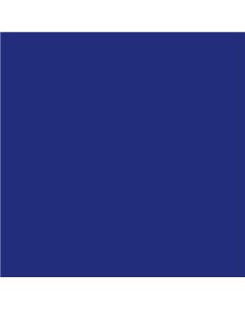 ESMALTE AL AGUA AQUALAC SATINADO (OFERTA) COLOR S 4055-R70B