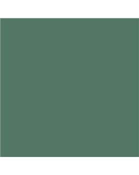 ESMALTE AL AGUA AQUALAC SATINADO (OFERTA) COLOR S 5020-G