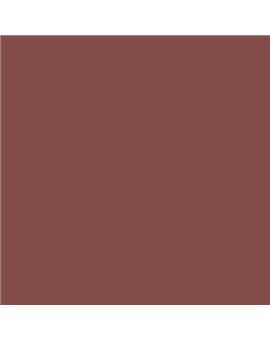 ESMALTE AL AGUA AQUALAC SATINADO (OFERTA) COLOR S 5030-Y90R