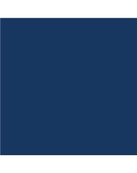 ESMALTE AL AGUA AQUALAC SATINADO (OFERTA) COLOR S 6030-R80B