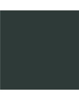 ESMALTE AL AGUA AQUALAC SATINADO (OFERTA) COLOR S 8005-B80G