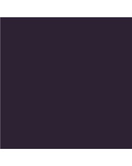 ESMALTE AL AGUA AQUALAC SATINADO (OFERTA) COLOR S 8010-R50B
