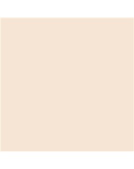 ESMALTE AL AGUA AQUALAC MATE (OFERTA) COLOR S 0505-Y50R