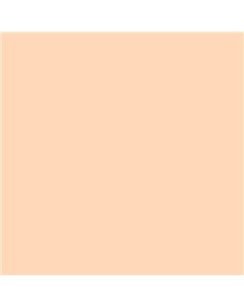 ESMALTE AL AGUA AQUALAC MATE (OFERTA) COLOR S 0515-Y50R