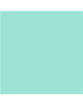 ESMALTE AL AGUA AQUALAC MATE (OFERTA) COLOR S 0530-B70G