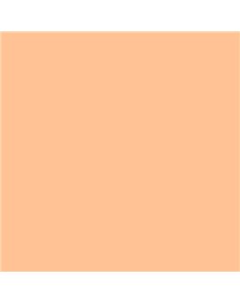 ESMALTE AL AGUA AQUALAC MATE (OFERTA) COLOR S 0530-Y50R
