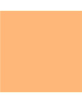 ESMALTE AL AGUA AQUALAC MATE (OFERTA) COLOR S 0540-Y40R