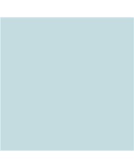 ESMALTE AL AGUA AQUALAC MATE (OFERTA) COLOR S 1010-B30G