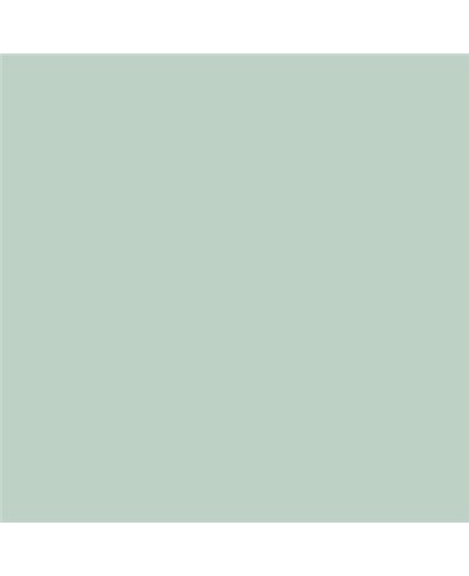 ESMALTE AL AGUA AQUALAC MATE (OFERTA) COLOR S 1510-G ESMALTE AL AGUA AQUALAC MATE (OFERTA) COLOR S 1510-G
