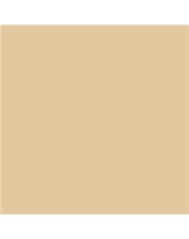 ESMALTE AL AGUA AQUALAC MATE (OFERTA) COLOR S 1515-Y20R