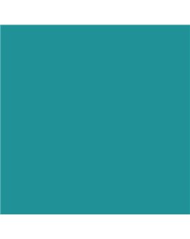 ESMALTE AL AGUA AQUALAC MATE (OFERTA) COLOR S 3040-B40G