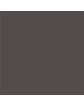 ESMALTE AL AGUA AQUALAC MATE (OFERTA) COLOR S 7502-R