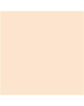 ESMALTE SINTETICO JUNOMALTE BRILLO (OFERTA) COLOR S 0510-Y50R