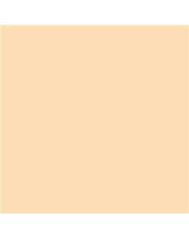 ESMALTE SINTETICO JUNOMALTE BRILLO (OFERTA) COLOR S 0515-Y30R