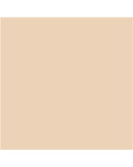 ESMALTE SINTETICO JUNOMALTE BRILLO (OFERTA) COLOR S 1010-Y40R
