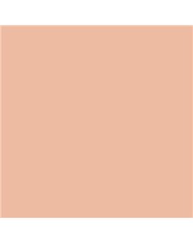 ESMALTE SINTETICO JUNOMALTE BRILLO (OFERTA) COLOR S 1020-Y60R