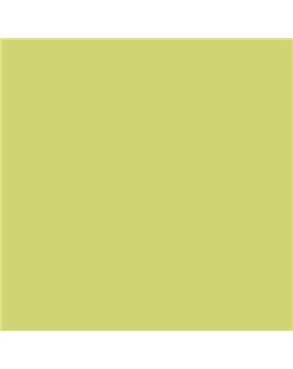 ESMALTE SINTETICO JUNOMALTE BRILLO (OFERTA) COLOR S 1040-G70Y