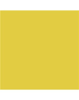 ESMALTE SINTETICO JUNOMALTE BRILLO (OFERTA) COLOR S 1060-G90Y