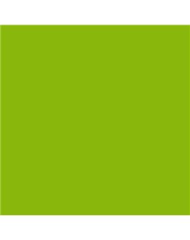 ESMALTE SINTETICO JUNOMALTE BRILLO (OFERTA) COLOR S 1075-G40Y