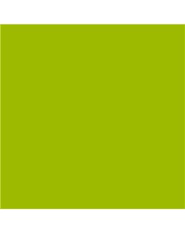 ESMALTE SINTETICO JUNOMALTE BRILLO (OFERTA) COLOR S 1075-G50Y