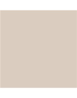 ESMALTE SINTETICO JUNOMALTE BRILLO (OFERTA) COLOR S 1505-Y50R