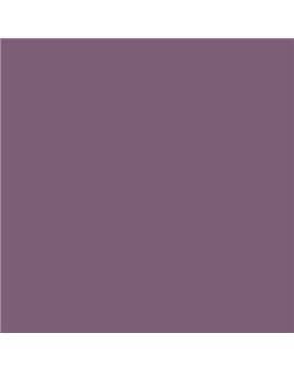 ESMALTE SINTETICO JUNOMALTE BRILLO (OFERTA) COLOR S 5020-R40B