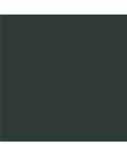 ESMALTE SINTETICO JUNOMALTE BRILLO (OFERTA) COLOR S 8005-B80G ESMALTE SINTETICO JUNOMALTE BRILLO (OFERTA) COLOR S 8005-B80G