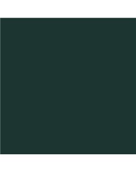ESMALTE SINTETICO JUNOMALTE BRILLO (OFERTA) COLOR S 8010-B70G