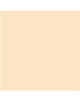 ESMALTE SINTETICO JUNOMALTE SATINADO (OFERTA) COLOR S 0510-Y30R