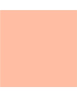 ESMALTE SINTETICO JUNOMALTE SATINADO (OFERTA) COLOR S 0530-Y70R