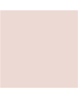ESMALTE SINTETICO JUNOMALTE SATINADO (OFERTA) COLOR S 0907-Y90R