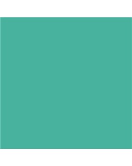 ESMALTE SINTETICO JUNOMALTE SATINADO (OFERTA) COLOR S 2040-B80G
