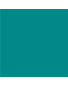 ESMALTE SINTETICO JUNOMALTE SATINADO (OFERTA) COLOR S 3050-B50G